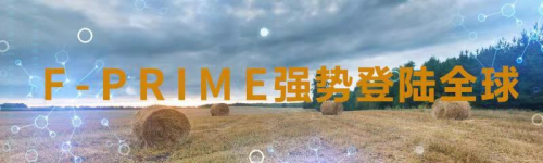 Prime弗瑞达展望未来绽放新生