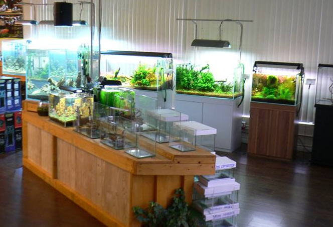 用3万元创业成功打造属于自己的品牌